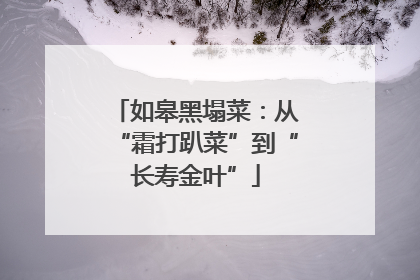 如皋黑塌菜：从“霜打趴菜”到“长寿金叶”