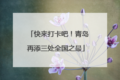 快来打卡吧！青岛再添三处全国之最