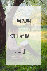 当光明遇上蚂蚁……