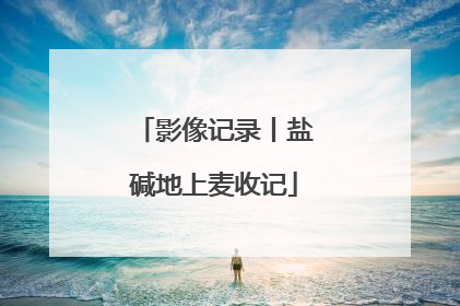 影像记录丨盐碱地上麦收记