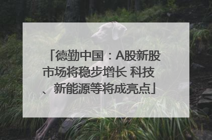 德勤中国：A股新股市场将稳步增长 科技、新能源等将成亮点