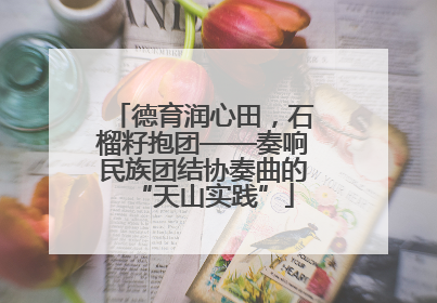 德育润心田，石榴籽抱团——奏响民族团结协奏曲的“天山实践”