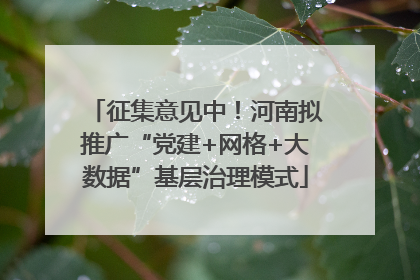 征集意见中！河南拟推广“党建+网格+大数据”基层治理模式