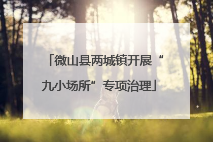 微山县两城镇开展“九小场所”专项治理