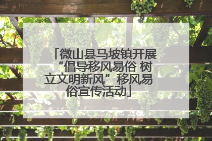 微山县马坡镇开展“倡导移风易俗 树立文明新风”移风易俗宣传活动