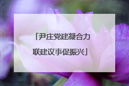 尹庄党建凝合力 联建议事促振兴