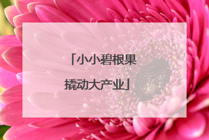 小小碧根果撬动大产业