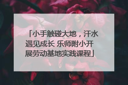 小手触碰大地，汗水遇见成长 乐师附小开展劳动基地实践课程