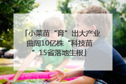 小菜苗“育”出大产业 曲周10亿株“科技苗”15省落地生根