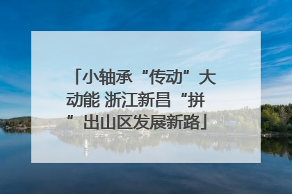 小轴承“传动”大动能 浙江新昌“拼”出山区发展新路