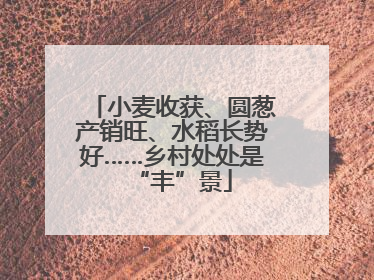 小麦收获、圆葱产销旺、水稻长势好……乡村处处是“丰”景