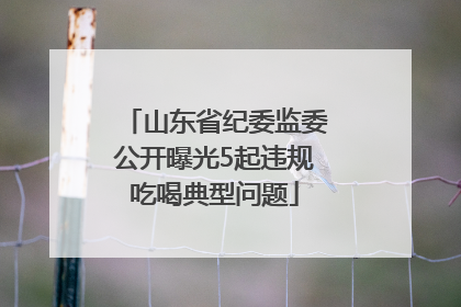 山东省纪委监委公开曝光5起违规吃喝典型问题