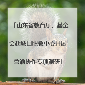 山东省教育厅、基金会赴城口职教中心开展鲁渝协作专项调研