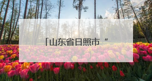 山东省日照市“学习强国”县级融媒号实现全覆盖