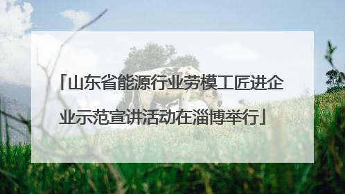 山东省能源行业劳模工匠进企业示范宣讲活动在淄博举行