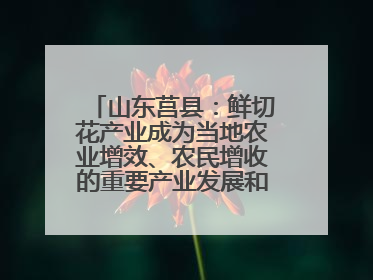 山东莒县：鲜切花产业成为当地农业增效、农民增收的重要产业发展和特色品牌