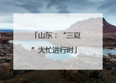 山东：“三夏”大忙进行时