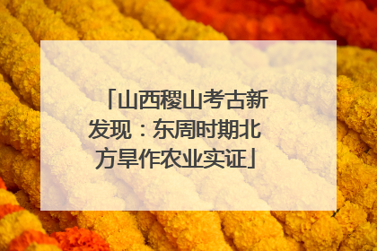 山西稷山考古新发现：东周时期北方旱作农业实证