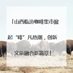 山西临汾咖啡集市掀起“啡”凡热潮，创新文旅融合新篇章