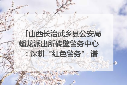 山西长治武乡县公安局蟠龙派出所砖壁警务中心：深耕“红色警务” 谱写“平安答卷”