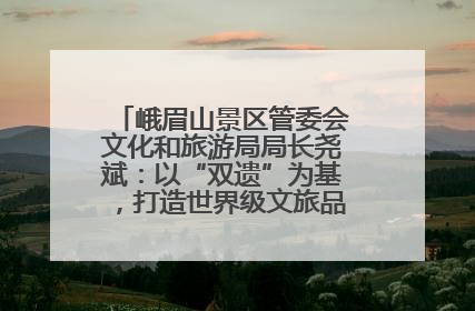 峨眉山景区管委会文化和旅游局局长尧斌：以“双遗”为基，打造世界级文旅品牌与国际典范