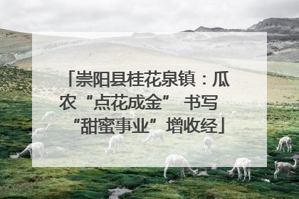 崇阳县桂花泉镇：瓜农“点花成金” 书写“甜蜜事业”增收经