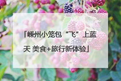 嵊州小笼包“飞”上蓝天 美食+旅行新体验