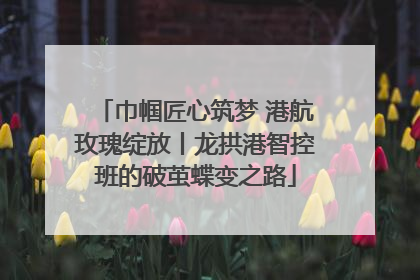 巾帼匠心筑梦 港航玫瑰绽放丨龙拱港智控班的破茧蝶变之路