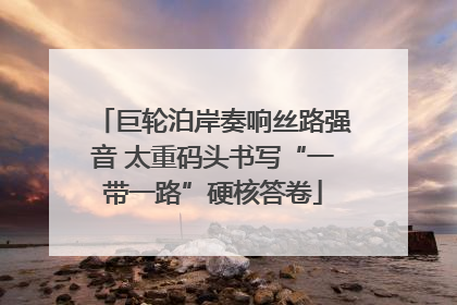 巨轮泊岸奏响丝路强音 太重码头书写“一带一路”硬核答卷