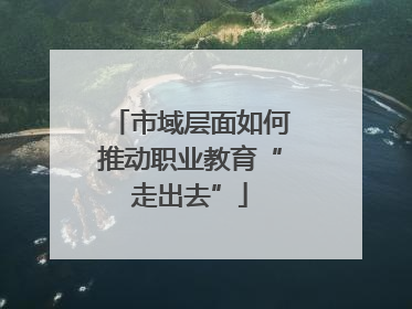 市域层面如何推动职业教育“走出去”