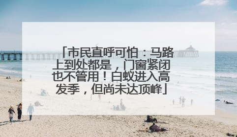 市民直呼可怕：马路上到处都是，门窗紧闭也不管用！白蚁进入高发季，但尚未达顶峰