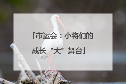 市运会：小将们的成长“大”舞台
