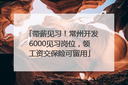 带薪见习！常州开发6000见习岗位，领工资交保险可留用