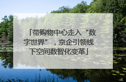 带购物中心走入“数字世界”，京企引领线下空间数智化变革