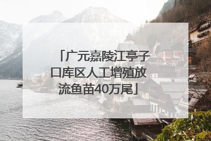 广元嘉陵江亭子口库区人工增殖放流鱼苗40万尾