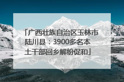 广西壮族自治区玉林市陆川县：3900多名本土干部回乡解纷促和