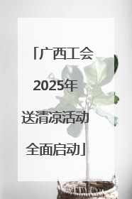 广西工会2025年送清凉活动全面启动