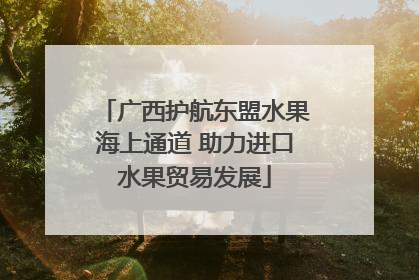广西护航东盟水果海上通道 助力进口水果贸易发展