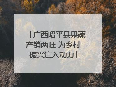 广西昭平县果蔬产销两旺 为乡村振兴注入动力
