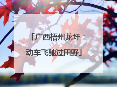 广西梧州龙圩：动车飞驰过田野