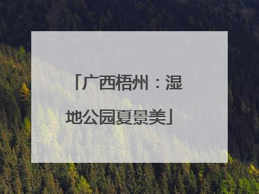 广西梧州：湿地公园夏景美