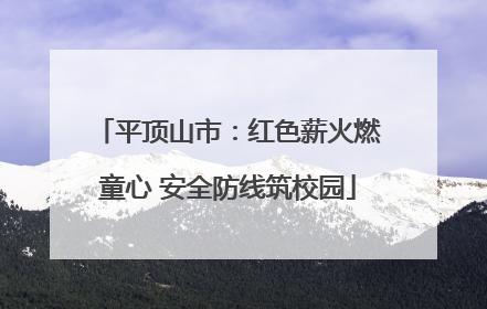 平顶山市：红色薪火燃童心 安全防线筑校园