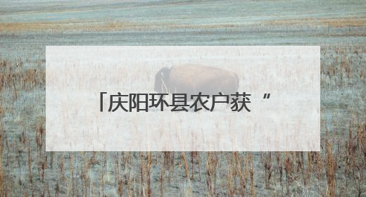 庆阳环县农户获“金融礼包” 普惠贷款助力产业升级