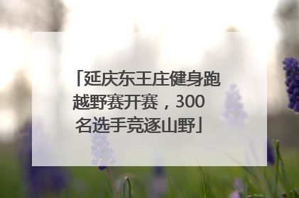 延庆东王庄健身跑越野赛开赛，300名选手竞逐山野
