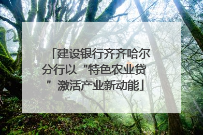建设银行齐齐哈尔分行以“特色农业贷”激活产业新动能