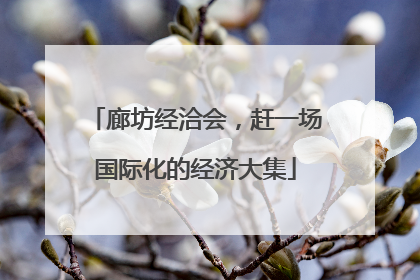 廊坊经洽会，赶一场国际化的经济大集