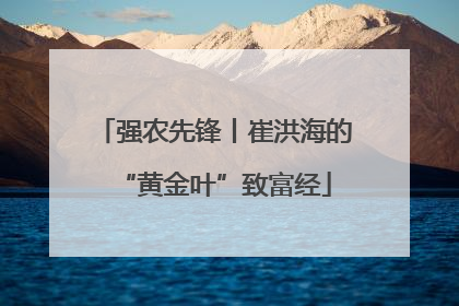 强农先锋丨崔洪海的“黄金叶”致富经