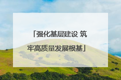 强化基层建设 筑牢高质量发展根基