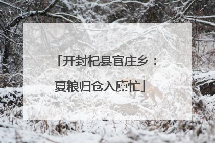 开封杞县官庄乡：夏粮归仓入廪忙