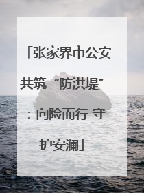 张家界市公安共筑“防洪堤”：向险而行 守护安澜